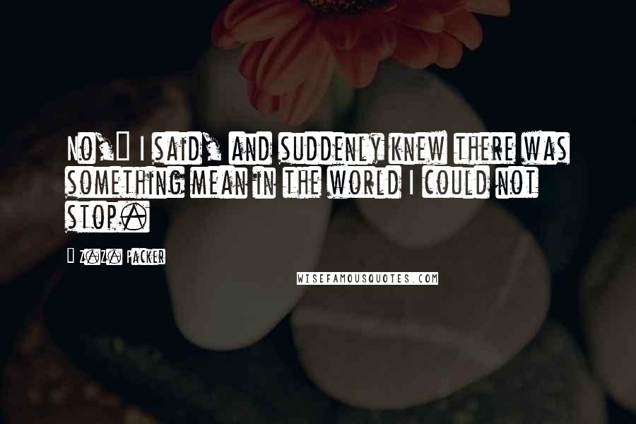 Z.Z. Packer Quotes: No," I said, and suddenly knew there was something mean in the world I could not stop.