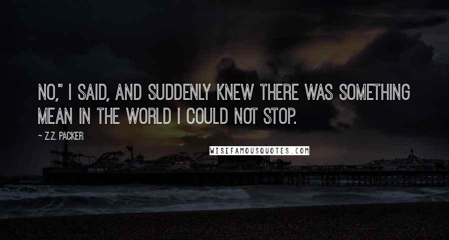 Z.Z. Packer Quotes: No," I said, and suddenly knew there was something mean in the world I could not stop.