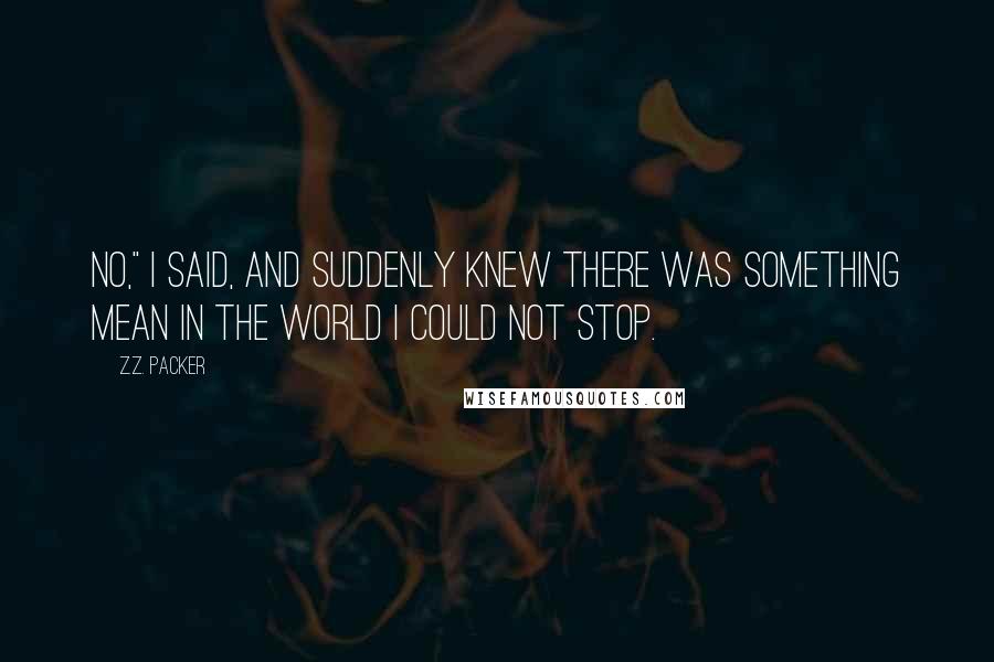 Z.Z. Packer Quotes: No," I said, and suddenly knew there was something mean in the world I could not stop.