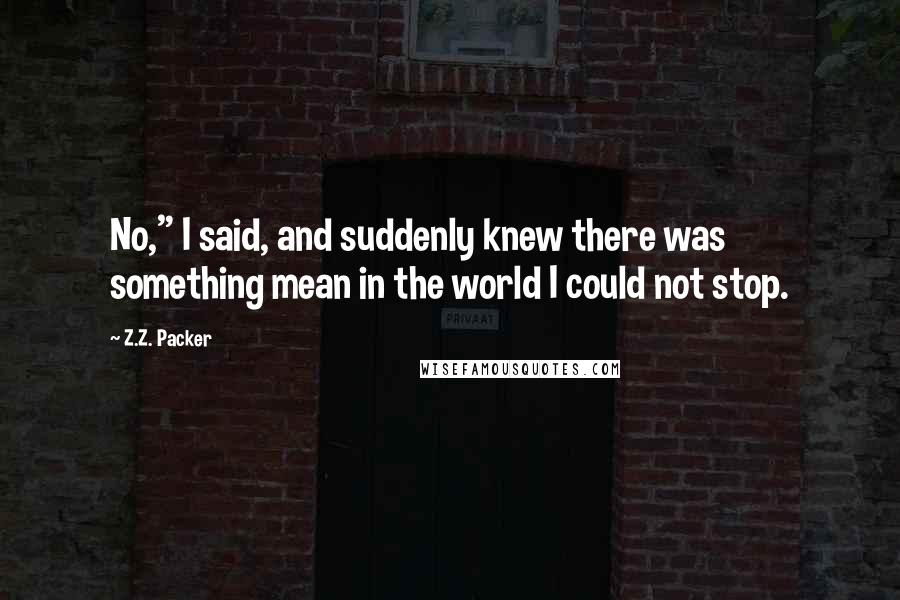 Z.Z. Packer Quotes: No," I said, and suddenly knew there was something mean in the world I could not stop.