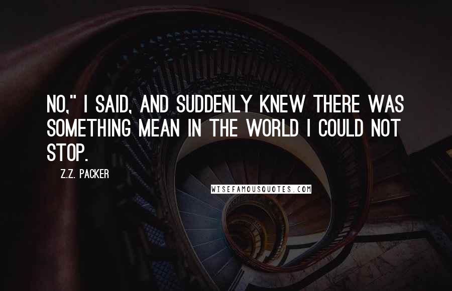 Z.Z. Packer Quotes: No," I said, and suddenly knew there was something mean in the world I could not stop.