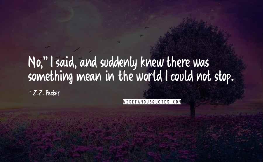 Z.Z. Packer Quotes: No," I said, and suddenly knew there was something mean in the world I could not stop.