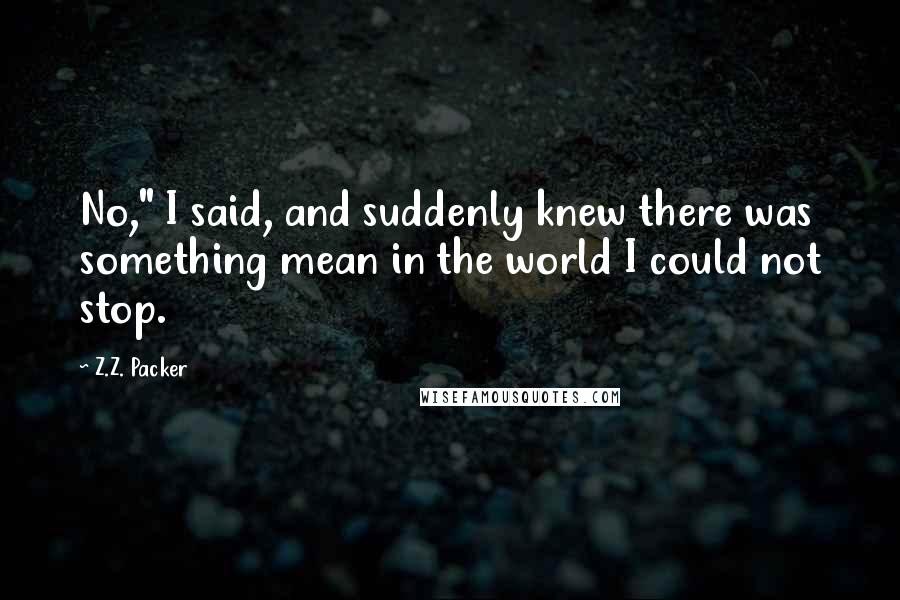 Z.Z. Packer Quotes: No," I said, and suddenly knew there was something mean in the world I could not stop.