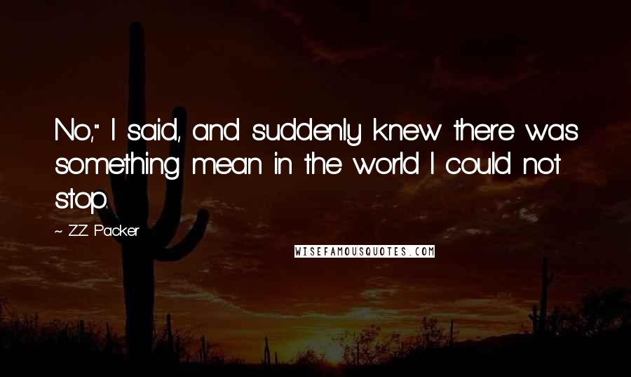 Z.Z. Packer Quotes: No," I said, and suddenly knew there was something mean in the world I could not stop.