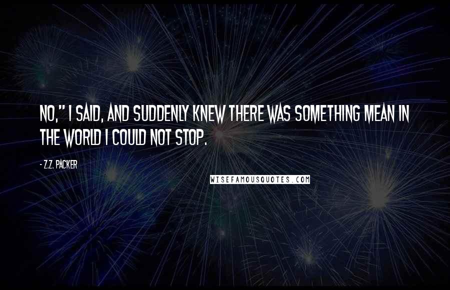 Z.Z. Packer Quotes: No," I said, and suddenly knew there was something mean in the world I could not stop.