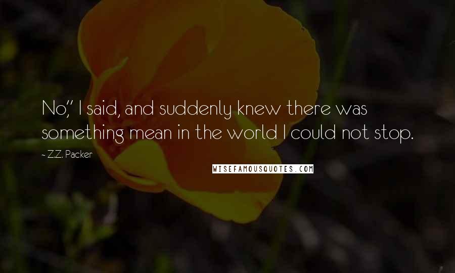 Z.Z. Packer Quotes: No," I said, and suddenly knew there was something mean in the world I could not stop.