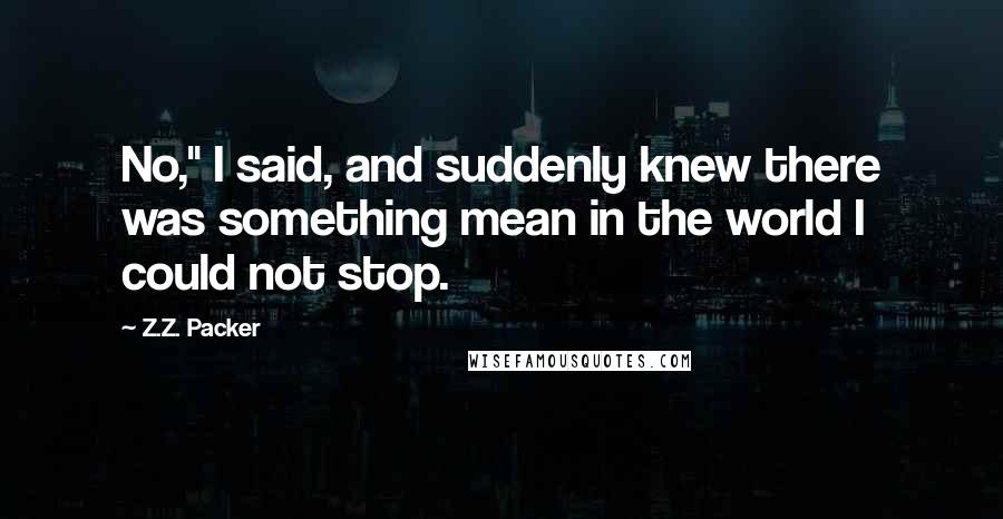 Z.Z. Packer Quotes: No," I said, and suddenly knew there was something mean in the world I could not stop.