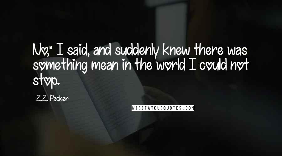 Z.Z. Packer Quotes: No," I said, and suddenly knew there was something mean in the world I could not stop.