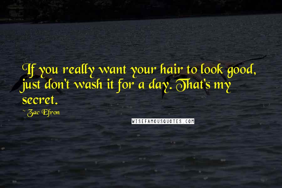 Zac Efron Quotes: If you really want your hair to look good, just don't wash it for a day. That's my secret.