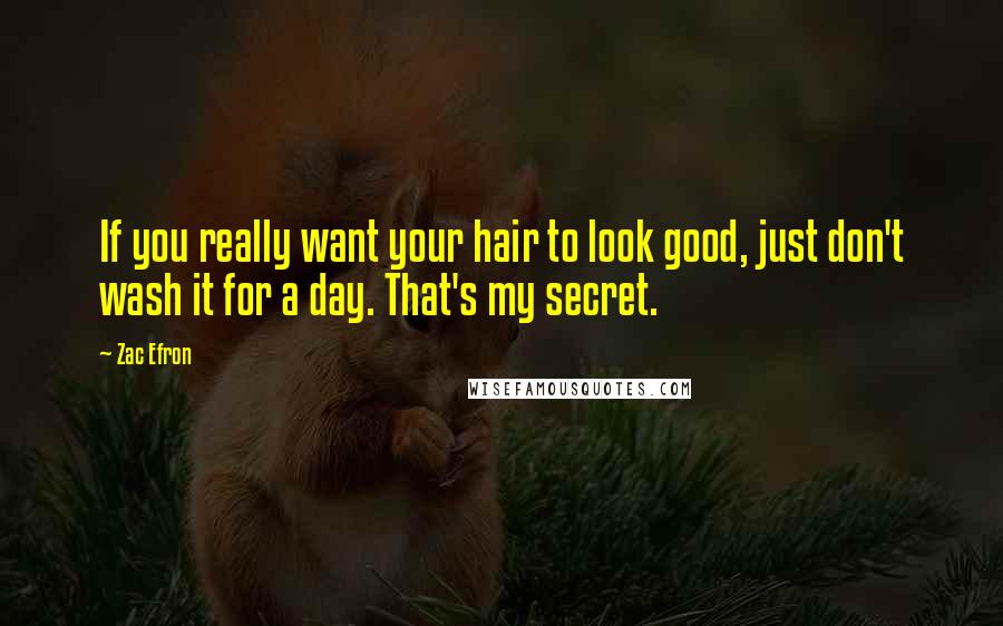 Zac Efron Quotes: If you really want your hair to look good, just don't wash it for a day. That's my secret.