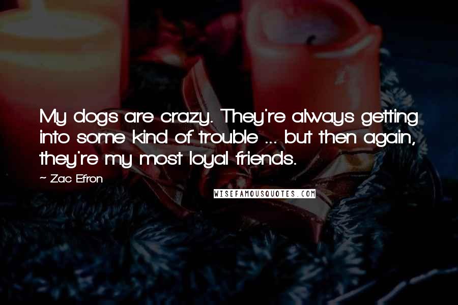 Zac Efron Quotes: My dogs are crazy. They're always getting into some kind of trouble ... but then again, they're my most loyal friends.