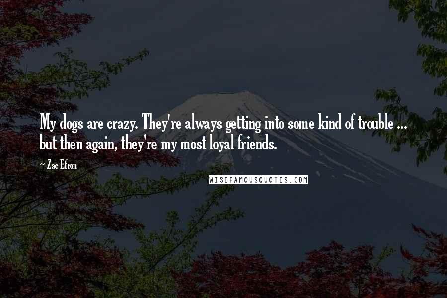 Zac Efron Quotes: My dogs are crazy. They're always getting into some kind of trouble ... but then again, they're my most loyal friends.