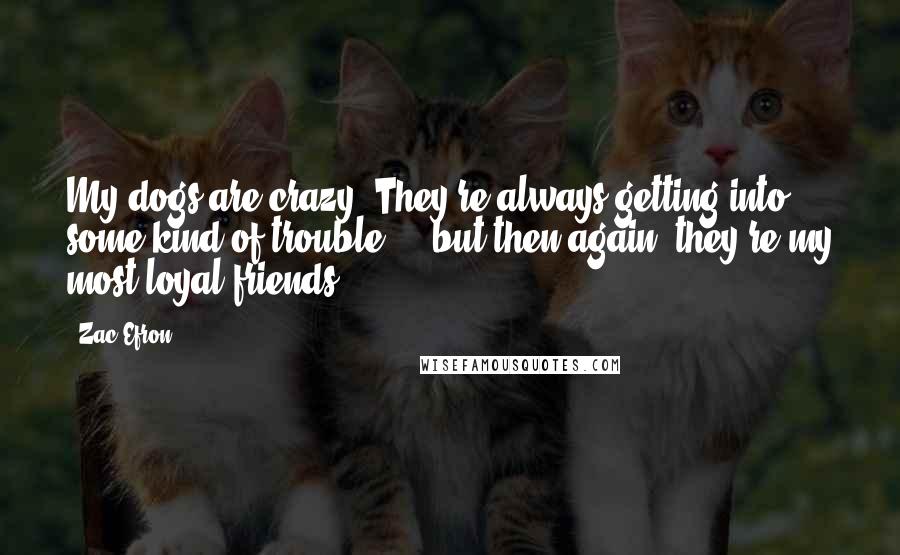 Zac Efron Quotes: My dogs are crazy. They're always getting into some kind of trouble ... but then again, they're my most loyal friends.