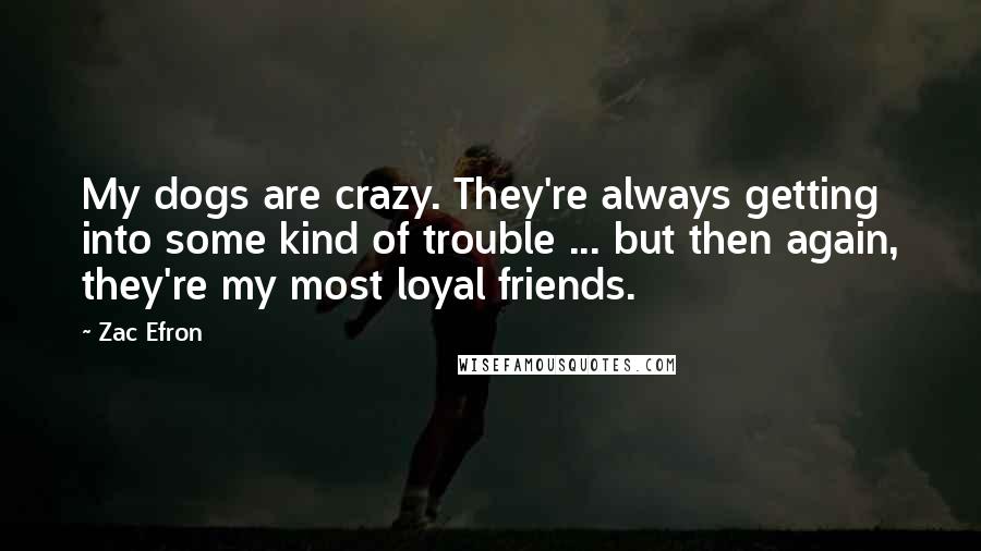 Zac Efron Quotes: My dogs are crazy. They're always getting into some kind of trouble ... but then again, they're my most loyal friends.