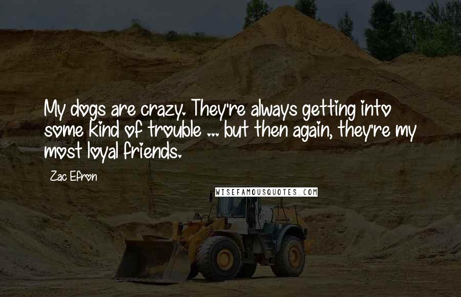 Zac Efron Quotes: My dogs are crazy. They're always getting into some kind of trouble ... but then again, they're my most loyal friends.