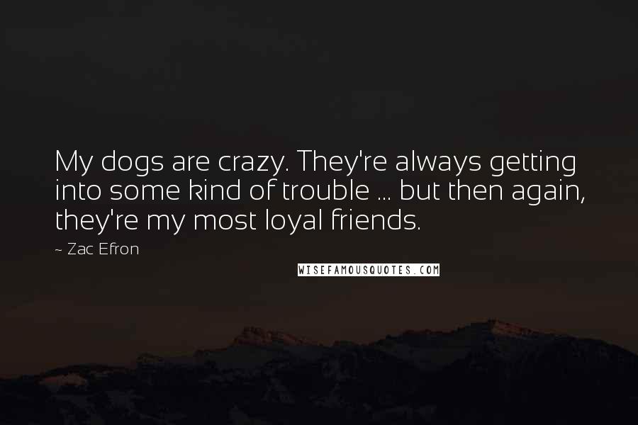 Zac Efron Quotes: My dogs are crazy. They're always getting into some kind of trouble ... but then again, they're my most loyal friends.