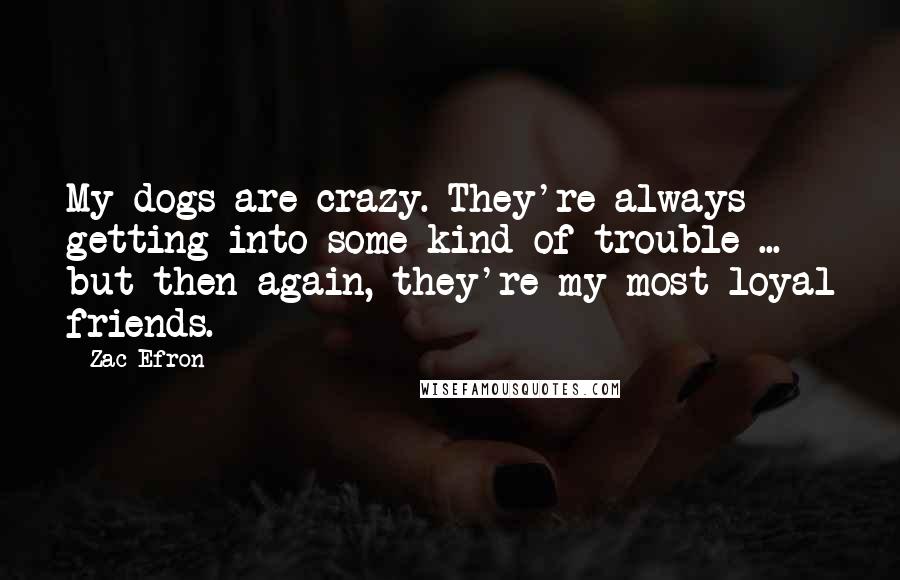 Zac Efron Quotes: My dogs are crazy. They're always getting into some kind of trouble ... but then again, they're my most loyal friends.