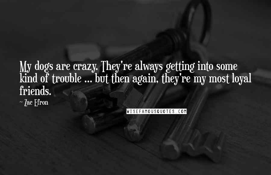 Zac Efron Quotes: My dogs are crazy. They're always getting into some kind of trouble ... but then again, they're my most loyal friends.