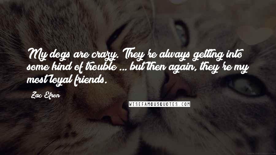 Zac Efron Quotes: My dogs are crazy. They're always getting into some kind of trouble ... but then again, they're my most loyal friends.