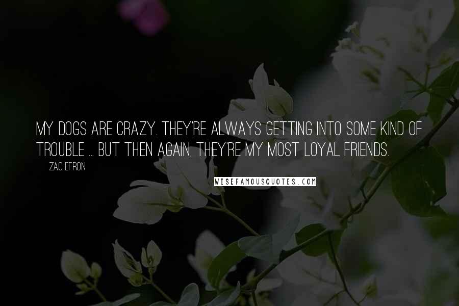 Zac Efron Quotes: My dogs are crazy. They're always getting into some kind of trouble ... but then again, they're my most loyal friends.