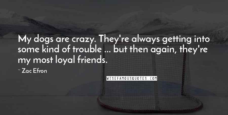 Zac Efron Quotes: My dogs are crazy. They're always getting into some kind of trouble ... but then again, they're my most loyal friends.