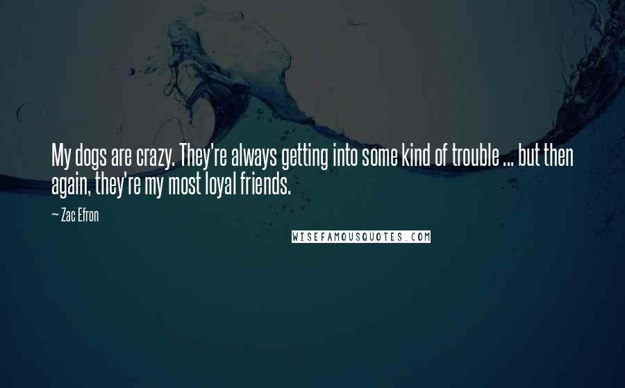 Zac Efron Quotes: My dogs are crazy. They're always getting into some kind of trouble ... but then again, they're my most loyal friends.