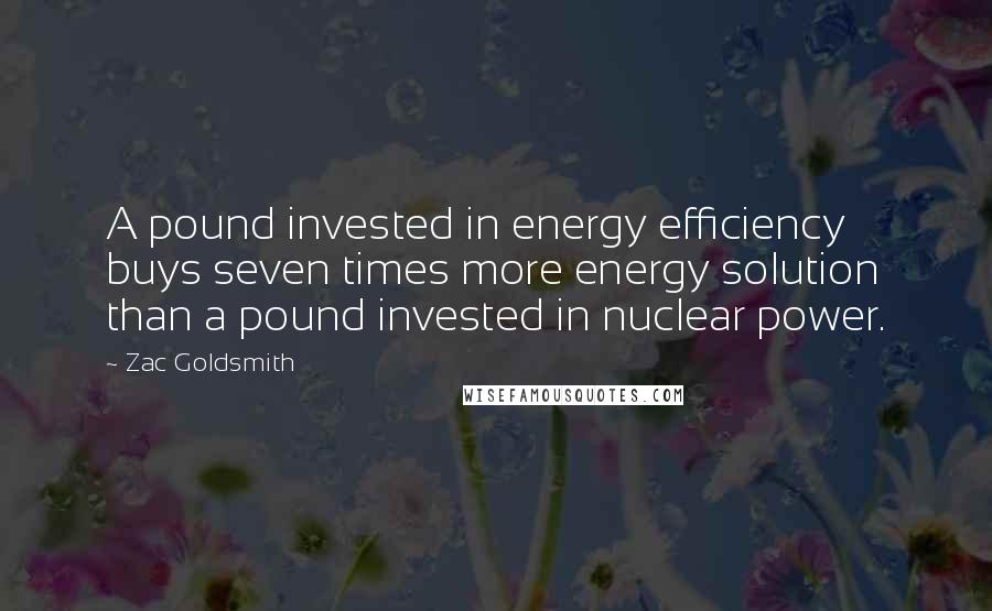 Zac Goldsmith Quotes: A pound invested in energy efficiency buys seven times more energy solution than a pound invested in nuclear power.