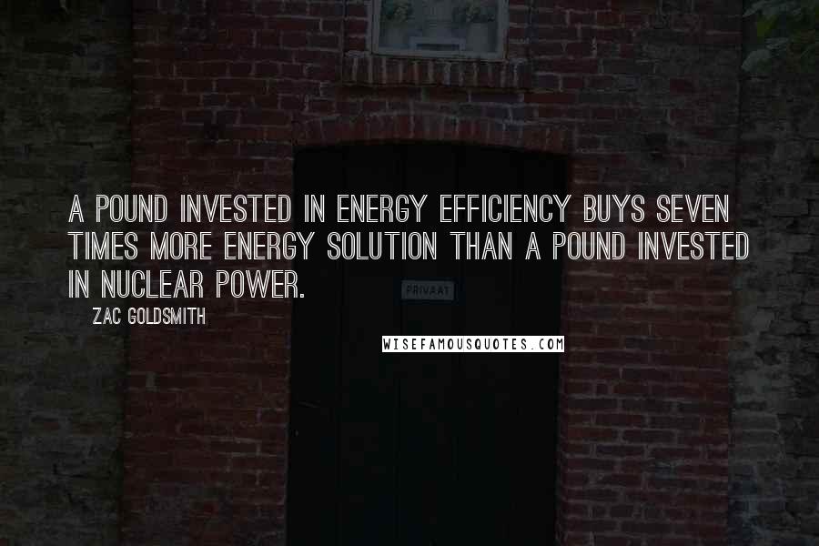 Zac Goldsmith Quotes: A pound invested in energy efficiency buys seven times more energy solution than a pound invested in nuclear power.