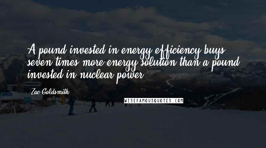 Zac Goldsmith Quotes: A pound invested in energy efficiency buys seven times more energy solution than a pound invested in nuclear power.