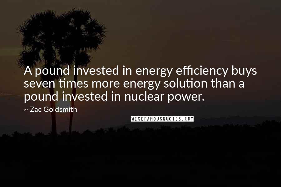 Zac Goldsmith Quotes: A pound invested in energy efficiency buys seven times more energy solution than a pound invested in nuclear power.