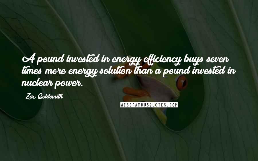 Zac Goldsmith Quotes: A pound invested in energy efficiency buys seven times more energy solution than a pound invested in nuclear power.