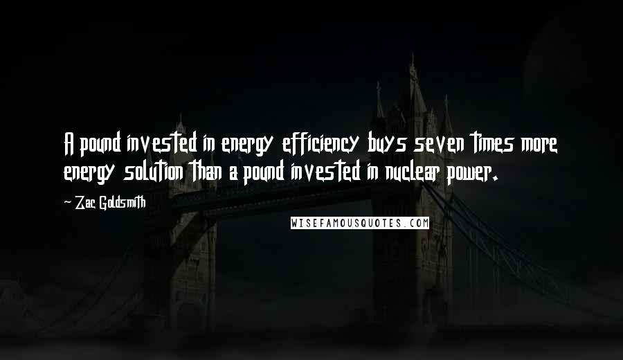 Zac Goldsmith Quotes: A pound invested in energy efficiency buys seven times more energy solution than a pound invested in nuclear power.