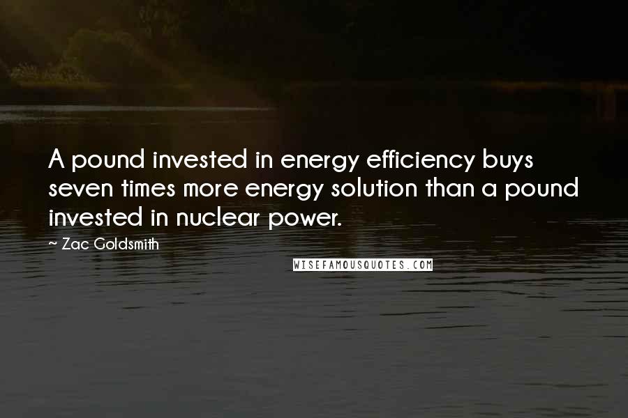 Zac Goldsmith Quotes: A pound invested in energy efficiency buys seven times more energy solution than a pound invested in nuclear power.