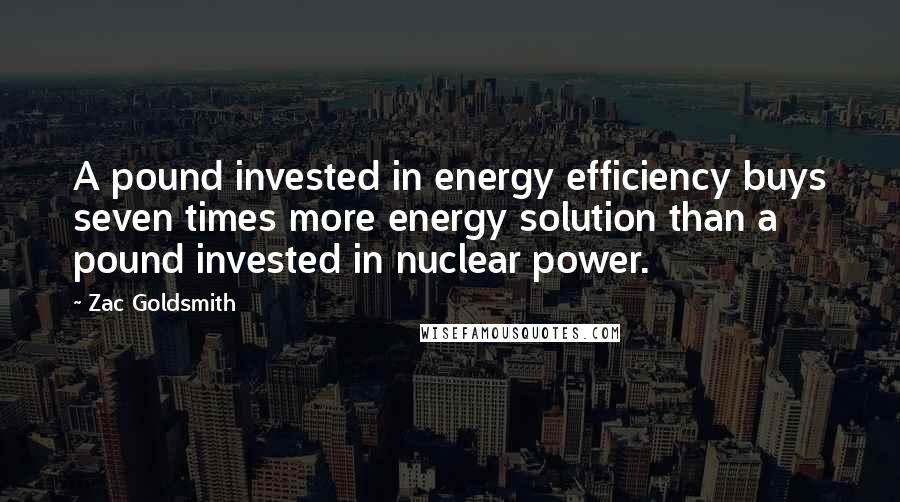 Zac Goldsmith Quotes: A pound invested in energy efficiency buys seven times more energy solution than a pound invested in nuclear power.