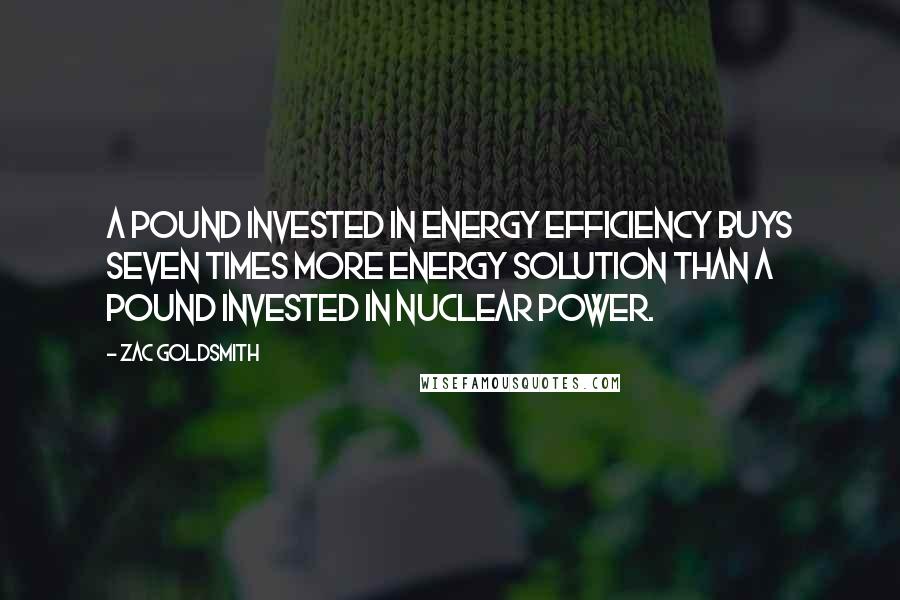 Zac Goldsmith Quotes: A pound invested in energy efficiency buys seven times more energy solution than a pound invested in nuclear power.