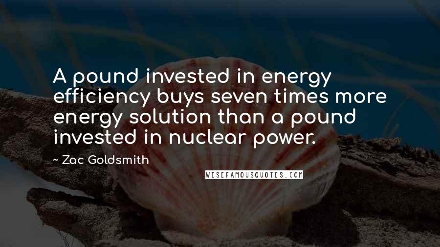 Zac Goldsmith Quotes: A pound invested in energy efficiency buys seven times more energy solution than a pound invested in nuclear power.