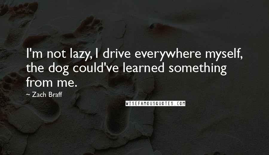Zach Braff Quotes: I'm not lazy, I drive everywhere myself, the dog could've learned something from me.