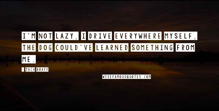 Zach Braff Quotes: I'm not lazy, I drive everywhere myself, the dog could've learned something from me.