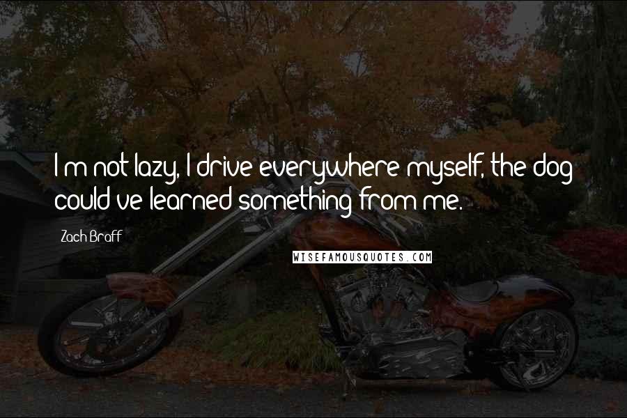 Zach Braff Quotes: I'm not lazy, I drive everywhere myself, the dog could've learned something from me.