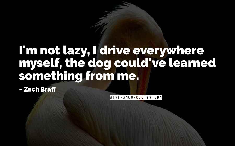 Zach Braff Quotes: I'm not lazy, I drive everywhere myself, the dog could've learned something from me.