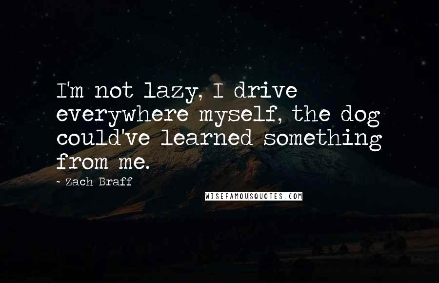 Zach Braff Quotes: I'm not lazy, I drive everywhere myself, the dog could've learned something from me.