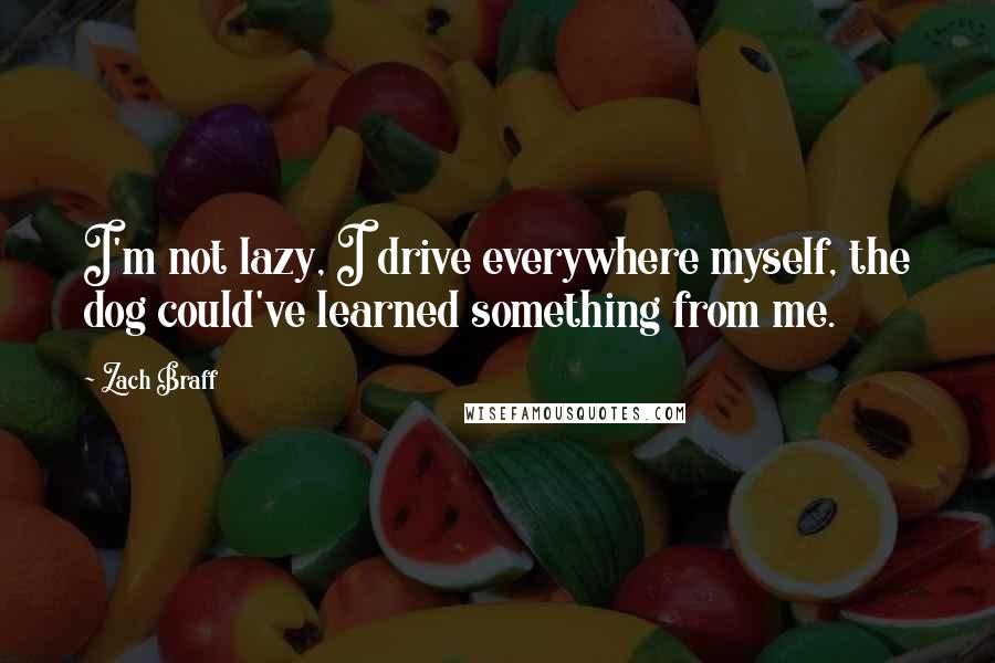Zach Braff Quotes: I'm not lazy, I drive everywhere myself, the dog could've learned something from me.
