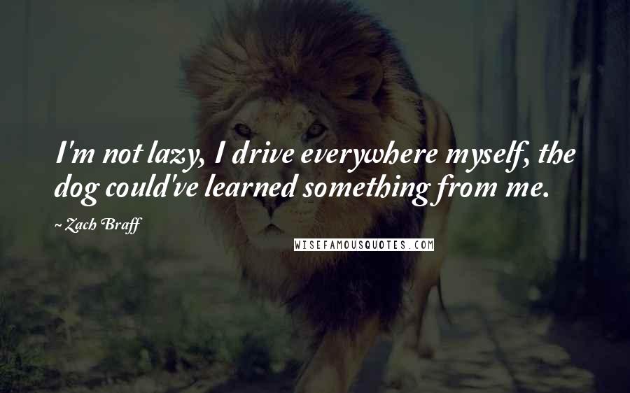 Zach Braff Quotes: I'm not lazy, I drive everywhere myself, the dog could've learned something from me.