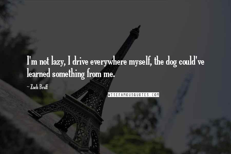 Zach Braff Quotes: I'm not lazy, I drive everywhere myself, the dog could've learned something from me.
