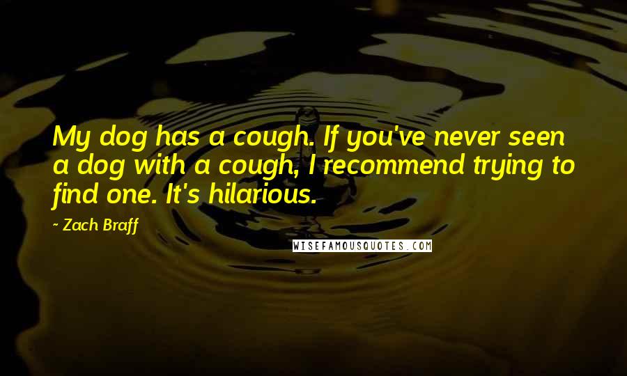 Zach Braff Quotes: My dog has a cough. If you've never seen a dog with a cough, I recommend trying to find one. It's hilarious.