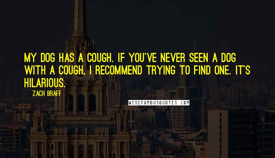 Zach Braff Quotes: My dog has a cough. If you've never seen a dog with a cough, I recommend trying to find one. It's hilarious.