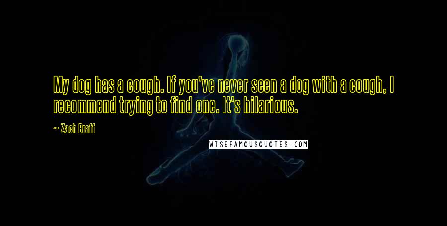 Zach Braff Quotes: My dog has a cough. If you've never seen a dog with a cough, I recommend trying to find one. It's hilarious.