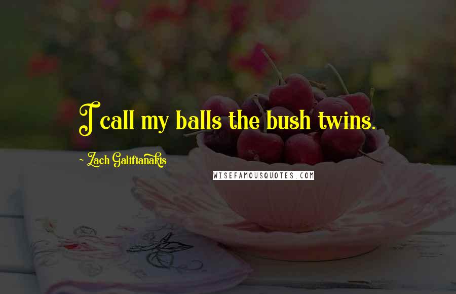 Zach Galifianakis Quotes: I call my balls the bush twins.