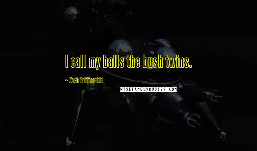 Zach Galifianakis Quotes: I call my balls the bush twins.