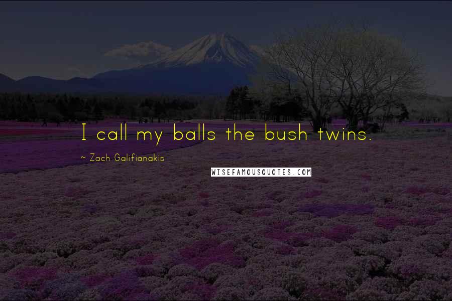 Zach Galifianakis Quotes: I call my balls the bush twins.